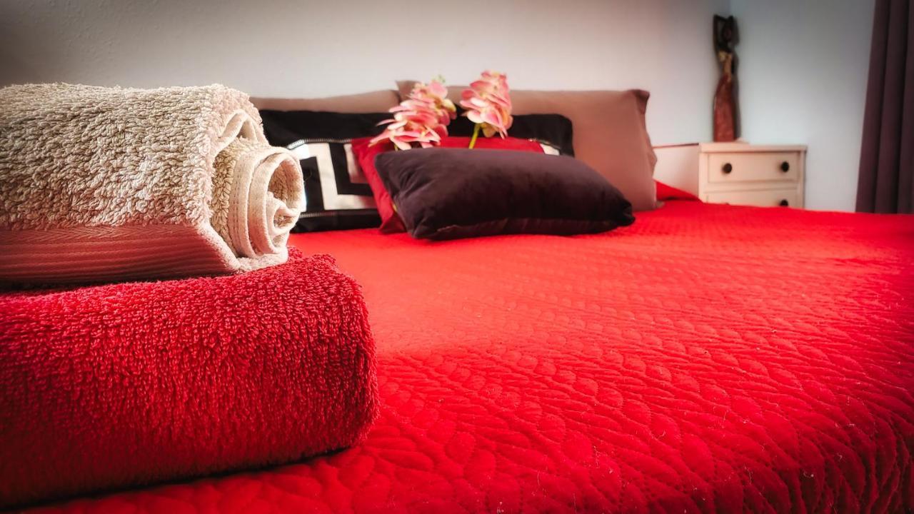 Warm, Cozy And Comfortable Apartment